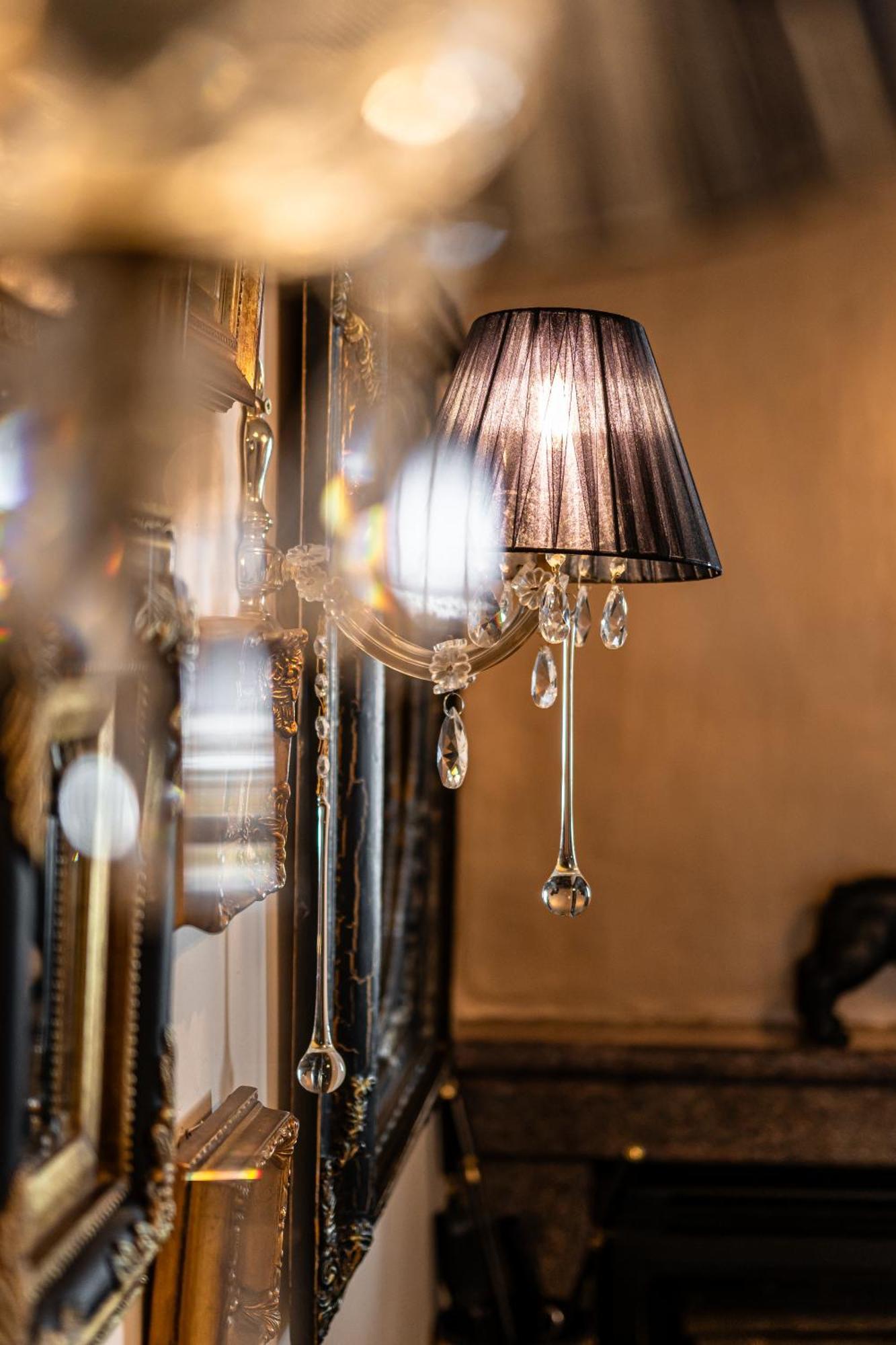 Black Velvet Agkidia المظهر الخارجي الصورة