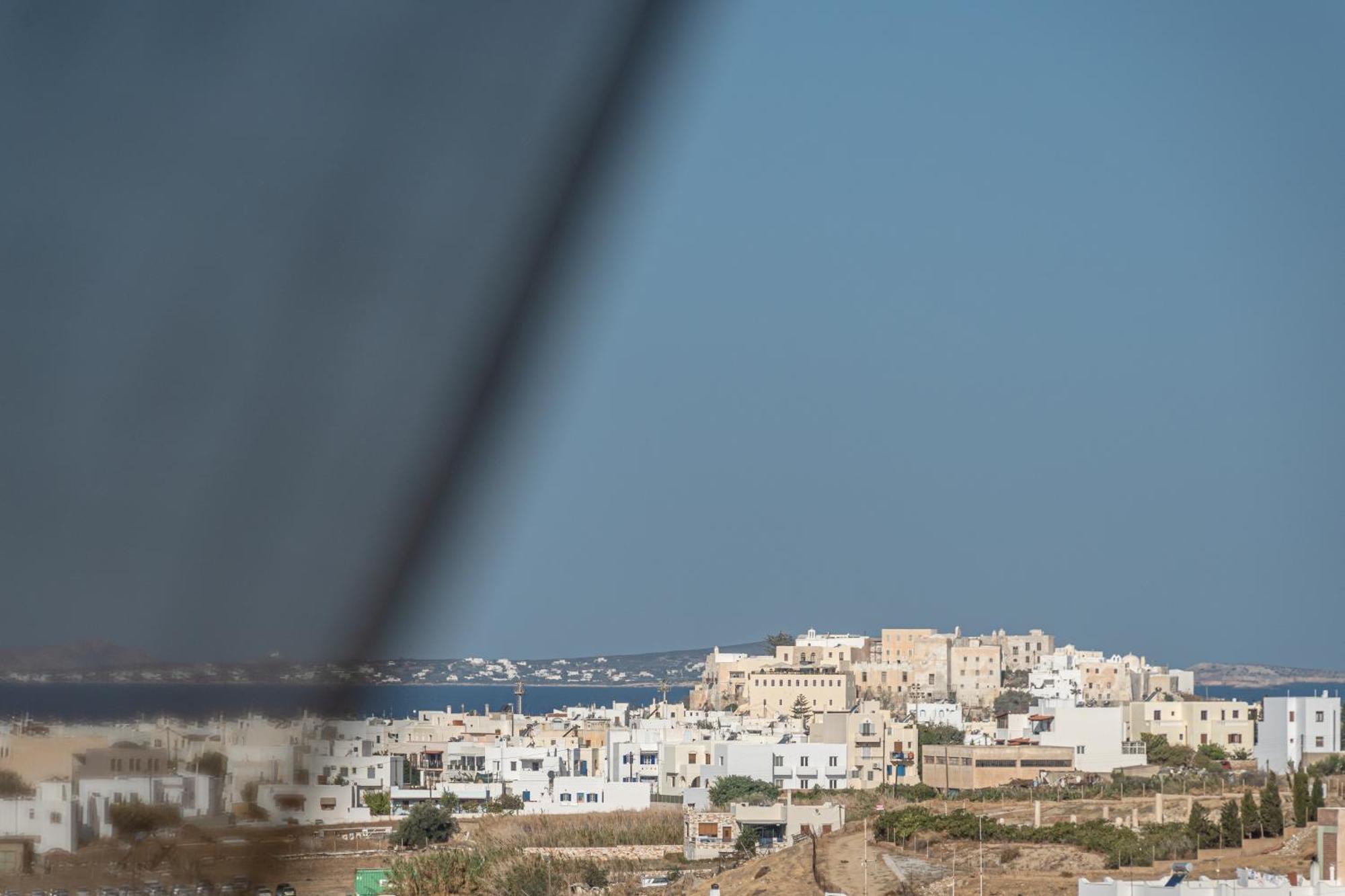 Black Velvet Agkidia المظهر الخارجي الصورة